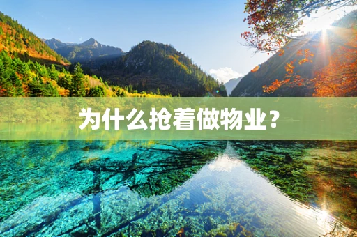 为什么抢着做物业？