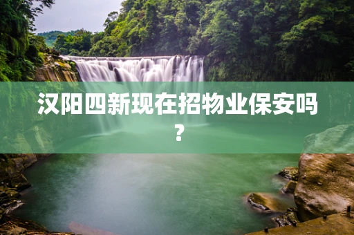 汉阳四新现在招物业保安吗？