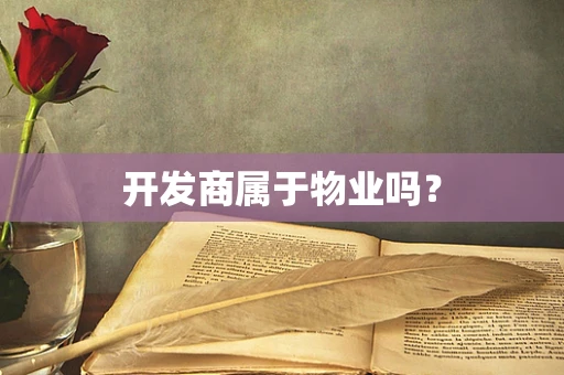 开发商属于物业吗？