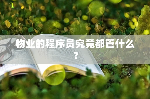 物业的程序员究竟都管什么？