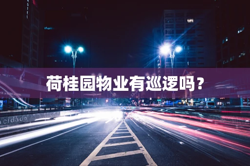 荷桂园物业有巡逻吗？