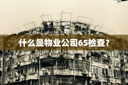 什么是物业公司6S检查？