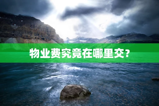 物业费究竟在哪里交？
