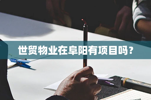 世贸物业在阜阳有项目吗？