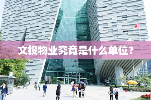 文投物业究竟是什么单位？