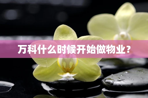 万科什么时候开始做物业？