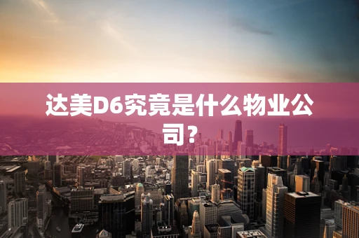 达美D6究竟是什么物业公司？