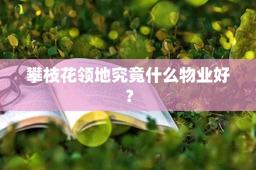 攀枝花领地究竟什么物业好？