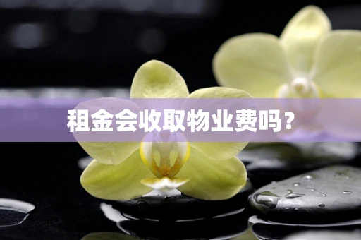 租金会收取物业费吗？