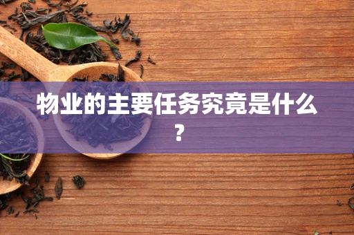 物业的主要任务究竟是什么？