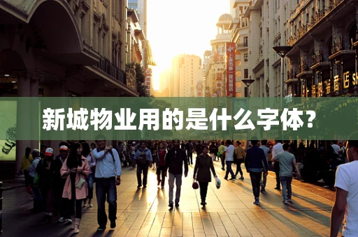 新城物业用的是什么字体？