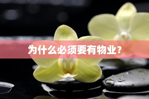 为什么必须要有物业？