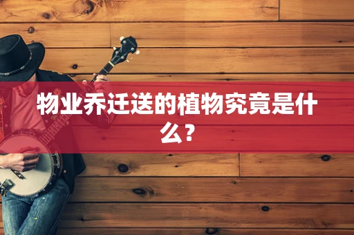 物业乔迁送的植物究竟是什么？