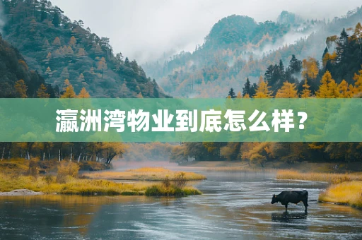 瀛洲湾物业到底怎么样？