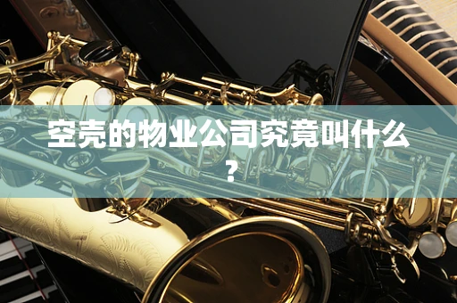 空壳的物业公司究竟叫什么？