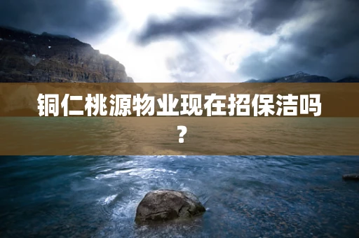 铜仁桃源物业现在招保洁吗？