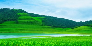 夏天小区物业送什么给业主合适呢？