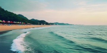 秦皇岛今年还收物业费吗？