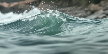 海航物业客服究竟是做什么的？