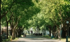 梨园路物业究竟怎么样？