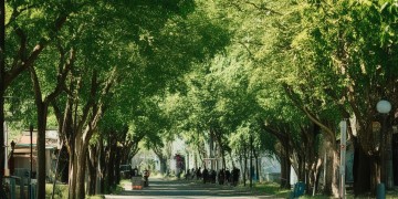 梨园路物业究竟怎么样？