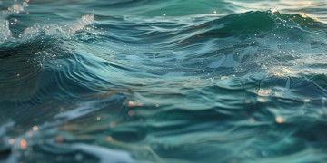 海亮物业的拼音究竟是什么？