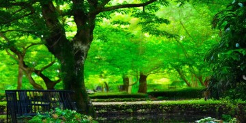 龙湖物业赔偿有上限吗？