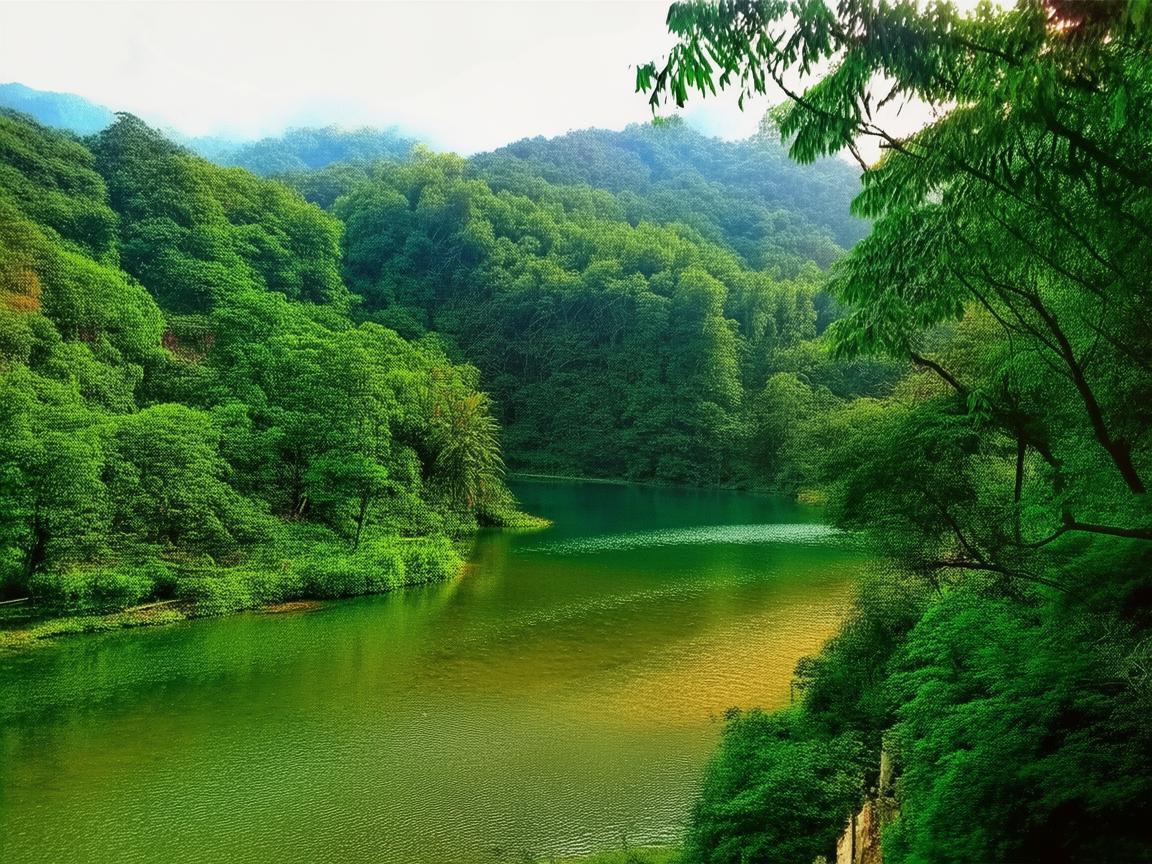 泰山绿色家园物业会收费吗？